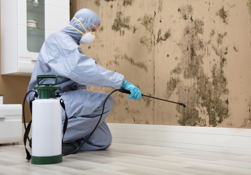 The Benefits of Professional Mold and Mildew Removal Services